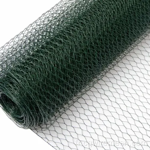 Netting de fil de poulet galvanisé en revêtement en PVC